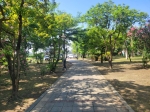 GLS26038 台南市歸仁區民權南路農業用地 照片(8)