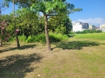 GLS26038 台南市歸仁區民權南路農業用地 照片(5)