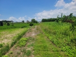 GLS26039 台南高鐵農地 照片(3)