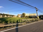 CLS26073照片4