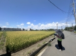 CLS26071照片3