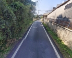 CLS26083照片2