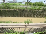 GLS26044 鹽行國中方正建地 照片(4)