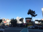 CLS26094照片5