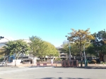 CLS26094照片4