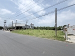 CLS26098照片2