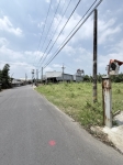 CLS26098照片3