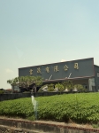CLS26100照片6