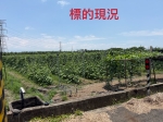 CLS26100照片1