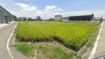 BLS26106照片1