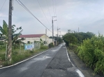 BLS26111照片3