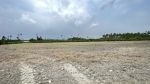 S__88391718_0
