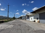 DLS26078