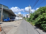 DLS26078